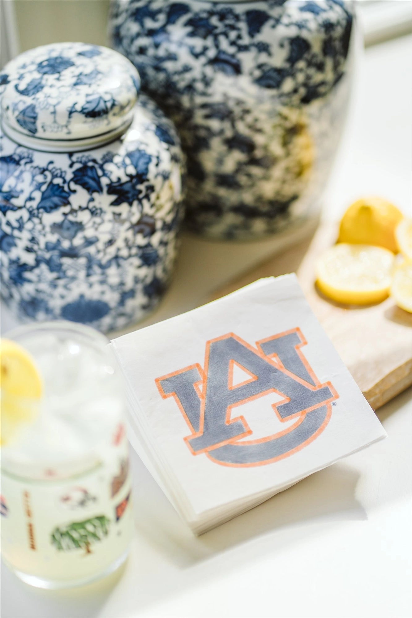 Auburn Watercolor Napkin Pack
